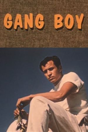 Gang Boy's poster