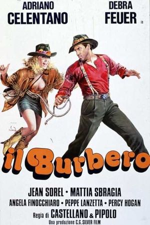 Il burbero's poster