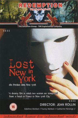 Lost in New York's poster