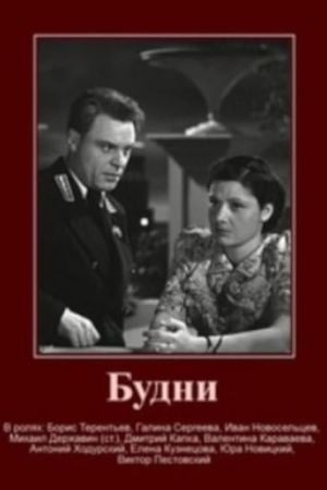 Budni's poster