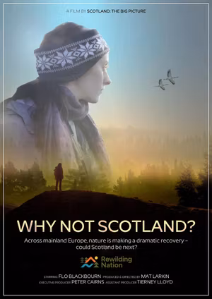 Why Not Scotland?'s poster image