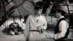 Zarubki na pamyat's poster