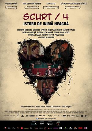 Scurt/4: Istorii de inimã neagrã's poster