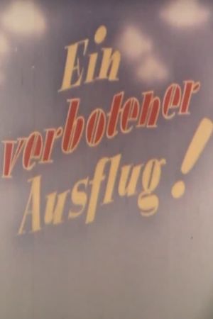 Ein verbotener Ausflug!'s poster