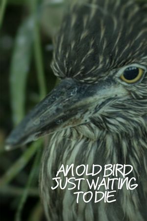 An Old Bird Just Waiting To Die's poster