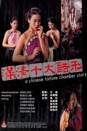 A Chinese Torture Chamber Story's poster
