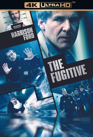 The Fugitive's poster