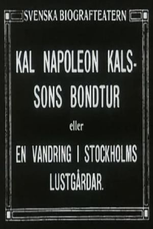 Kal Napoleon Kalsson's Farm Ride's poster