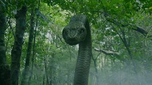 Deep Sea Python's poster