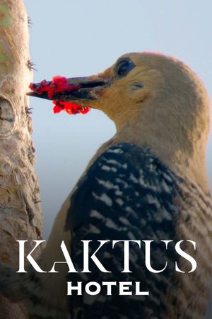 Kaktus Hotel's poster