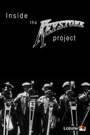 Inside the Keystone Project's poster