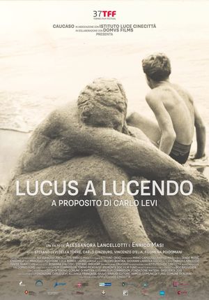 Lucus a Lucendo - A proposito di Carlo Levi's poster