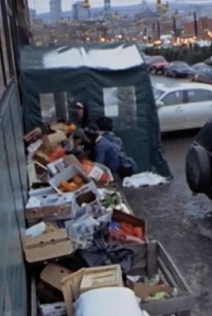 Surfing the Waste: a Musical Documentary about Dumpster Diving's poster