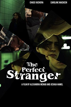 The Perfect Stranger's poster