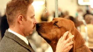 Best in Show's poster