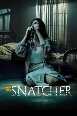 The Snatcher's poster