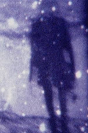 Ashden's Walk on Møn's poster