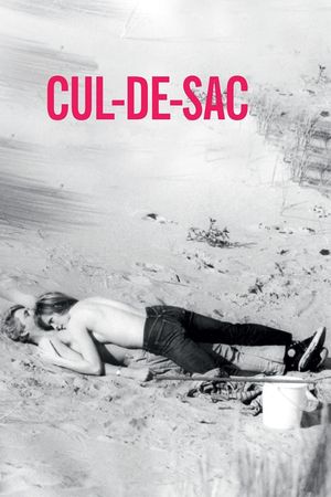 Cul-de-sac's poster