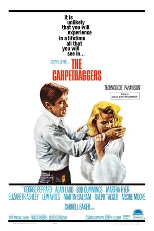 The Carpetbaggers's poster
