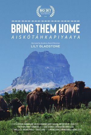 Bring Them Home's poster
