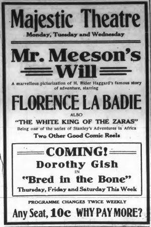 Mr. Meeson's Will's poster