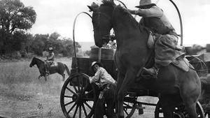 The Culpepper Cattle Co.'s poster
