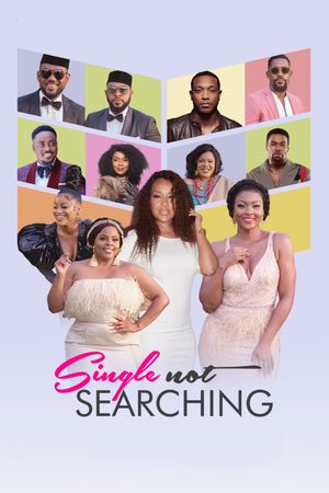 Single Not Searching's poster
