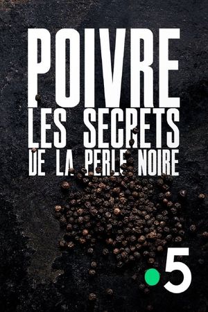 Poivre, les secrets de la perle noire's poster