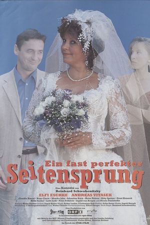 Ein fast perfekter Seitensprung's poster