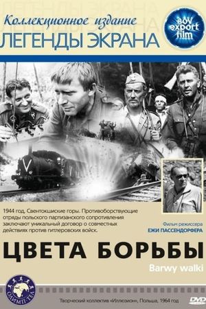 Barwy walki's poster