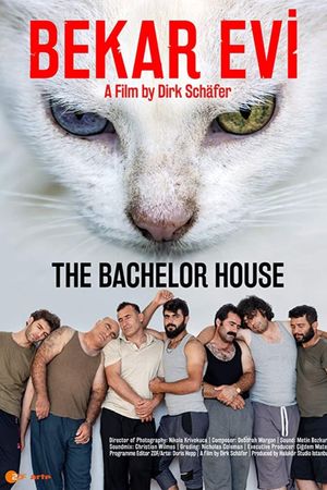 Bekar Evi's poster