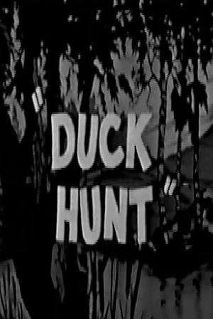 Duck Hunt's poster