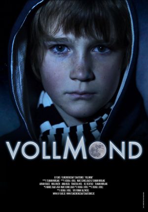 Vollmond's poster image