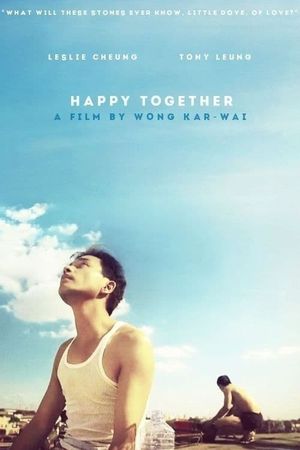 Happy Together's poster