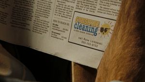 Sunshine Cleaning's poster