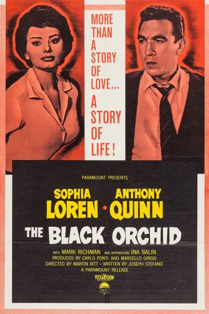 The Black Orchid's poster image