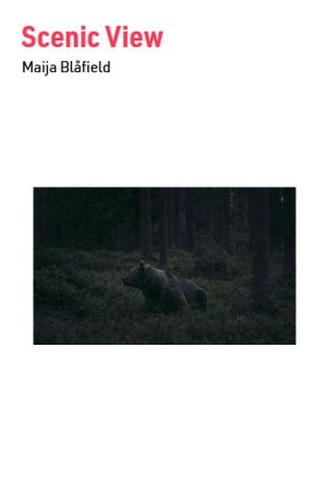 Scenic View's poster image