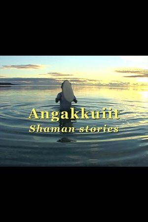 Shaman Stories's poster