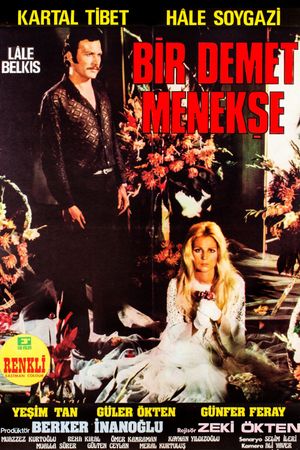 Bir Demet Menekse's poster