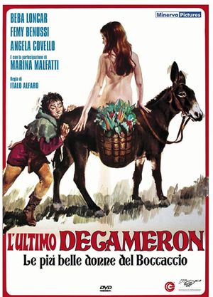 The Last Decameron: Adultery in 7 Easy Lessons's poster