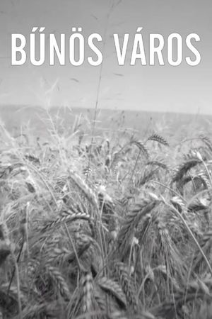 Bűnös Város's poster
