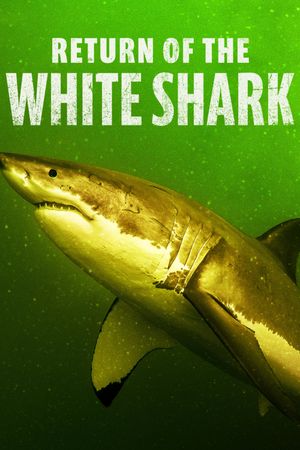 Return of the White Shark's poster