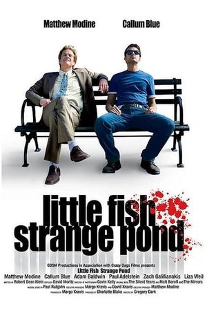 Little Fish, Strange Pond's poster image