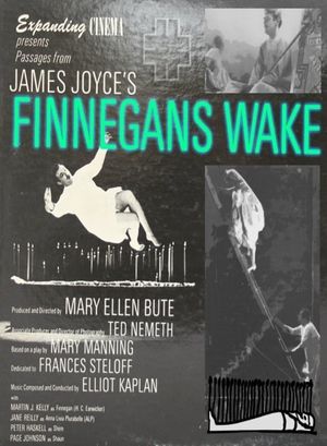 Passages from James Joyce's Finnegans Wake's poster