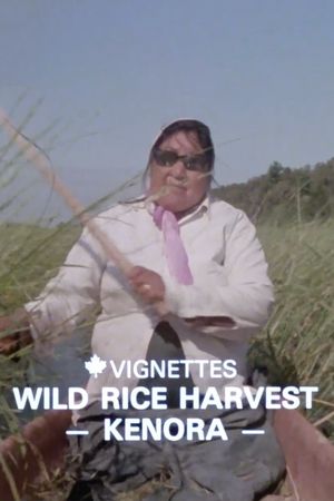 Canada Vignettes: Wild Rice Harvest Kenora's poster image