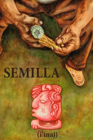 Semilla's poster