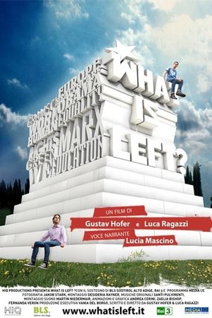 What Is Left?'s poster