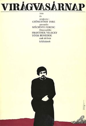 Palm Sunday's poster