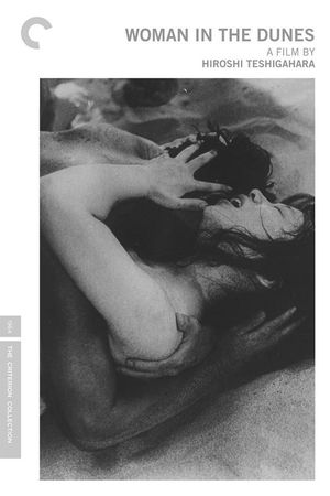 Woman in the Dunes's poster
