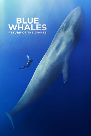 Blue Whales: Return of the Giants's poster image